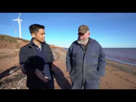 Preview thumbnail for shore and seaweed story video 2