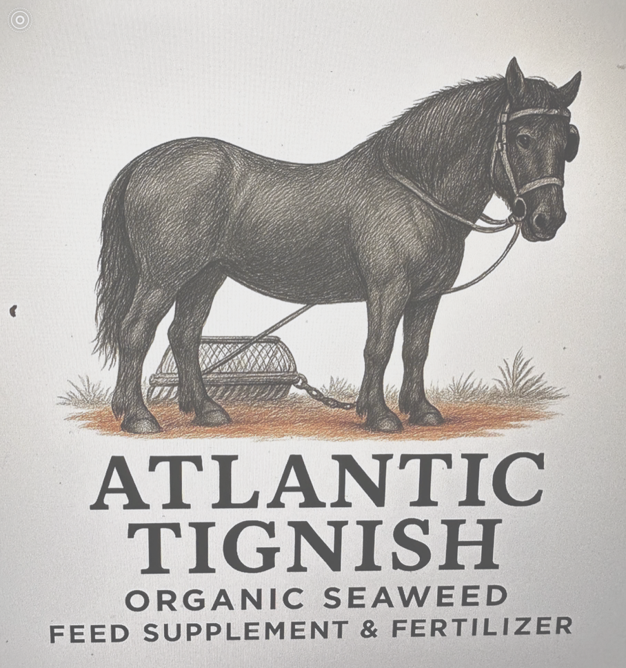 Atlantic Tignish horse logo